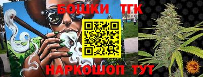 мдпв Татарск